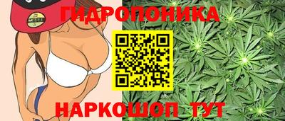 гидропоника Беслан