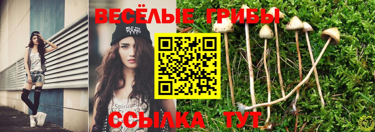 Псилоцибиновые грибы Cubensis  Галлюциногенные грибы Psilocybe  Вход с VPN  Каспийск 